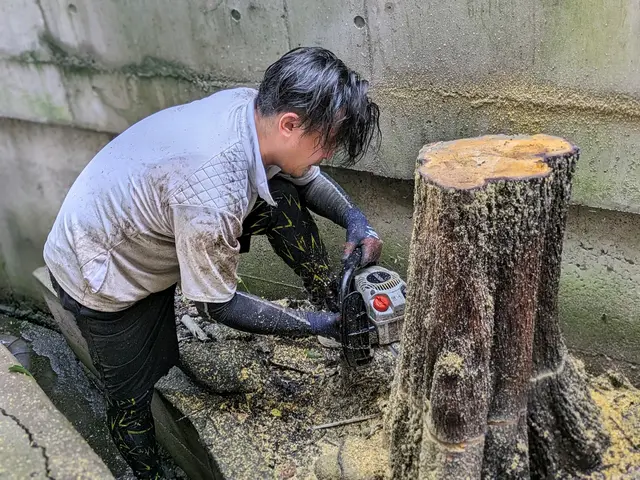 庭木の剪定・草むしり 承りますサービスの画像