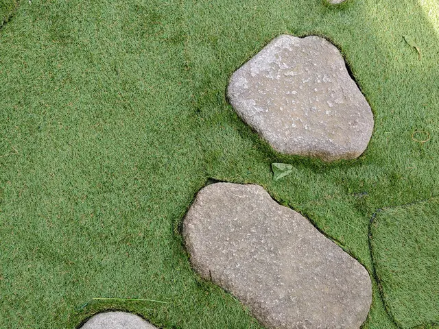 下地処理→防草シート→人工芝サービスの画像