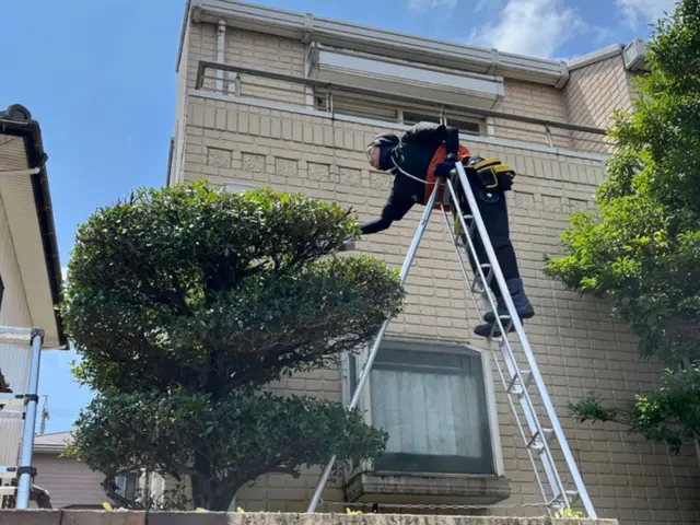 下地処理→防草シート→人工芝サービスの画像