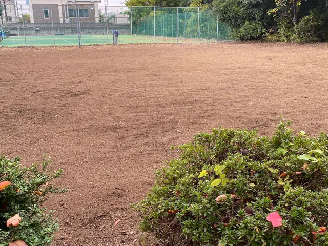 草刈り　刈り払い機使用サービスの画像