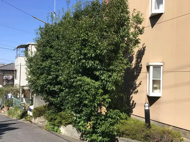 岩倉市発【職人歴35年の実績】作業外注なし全て自社対応！親切丁寧がモットー！サービスの画像