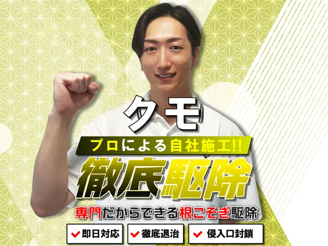 ◆即日対応可◆しつこい蜘蛛の巣も綺麗に駆除！安全な薬剤で巣を作らせない徹底施工！サービスの画像