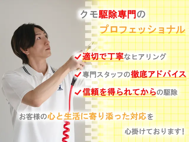 ◆即日対応可◆しつこい蜘蛛の巣も綺麗に駆除！安全な薬剤で巣を作らせない徹底施工！サービスの画像