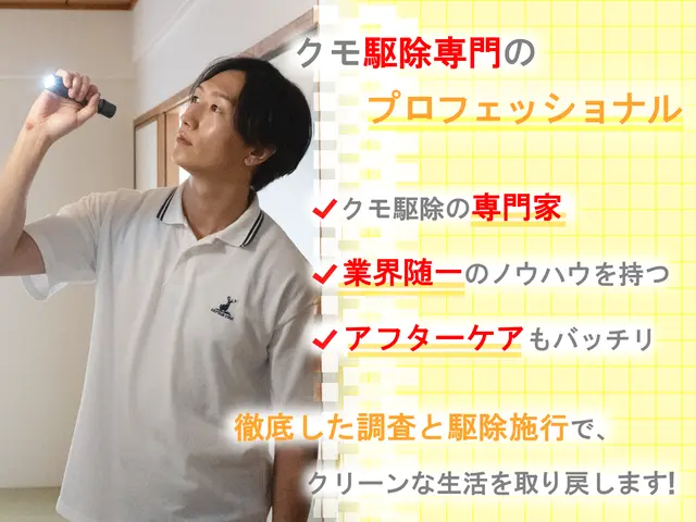 ◆即日対応可◆しつこい蜘蛛の巣も綺麗に駆除！安全な薬剤で巣を作らせない徹底施工！サービスの画像