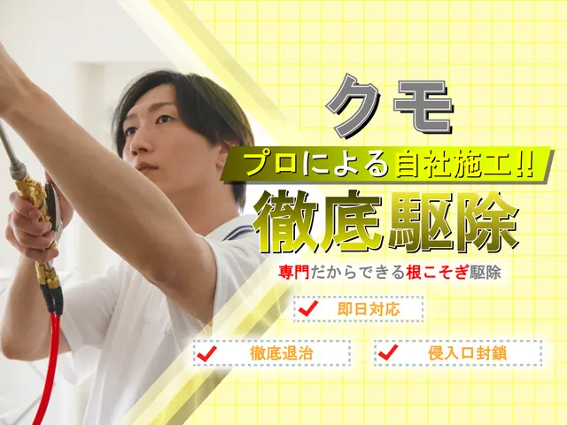 ◆即日対応可◆しつこい蜘蛛の巣も綺麗に駆除！安全な薬剤で巣を作らせない徹底施工！サービスの画像