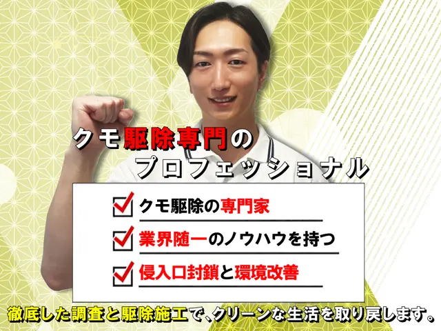 ◆即日対応可◆しつこい蜘蛛の巣も綺麗に駆除！安全な薬剤で巣を作らせない徹底施工！サービスの画像