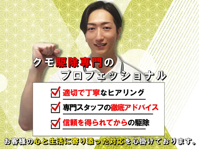 ◆即日対応可◆しつこい蜘蛛の巣も綺麗に駆除！安全な薬剤で巣を作らせない徹底施工！サービスの画像