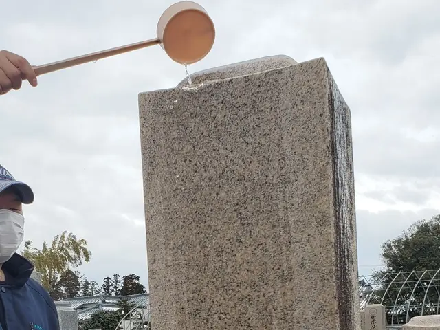 【女性スタッフ対応可】お墓参り代行。お客様とご相談しながらご先祖様へ丁寧な対応サービスの画像