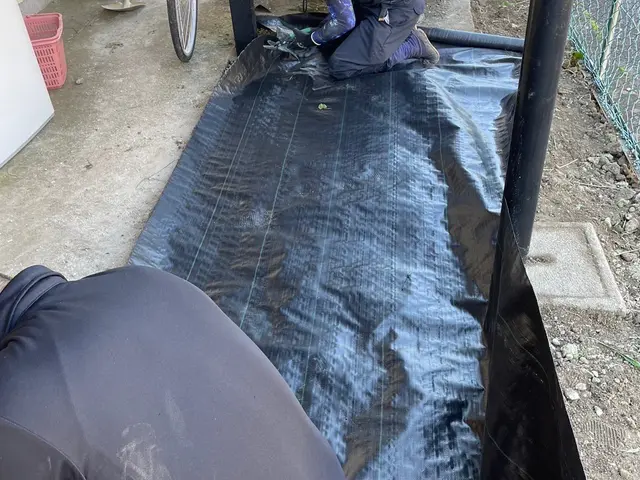 【木漏れ日降り注ぐお庭造り･:*+】お庭の美容師が伺います♪サービスの画像