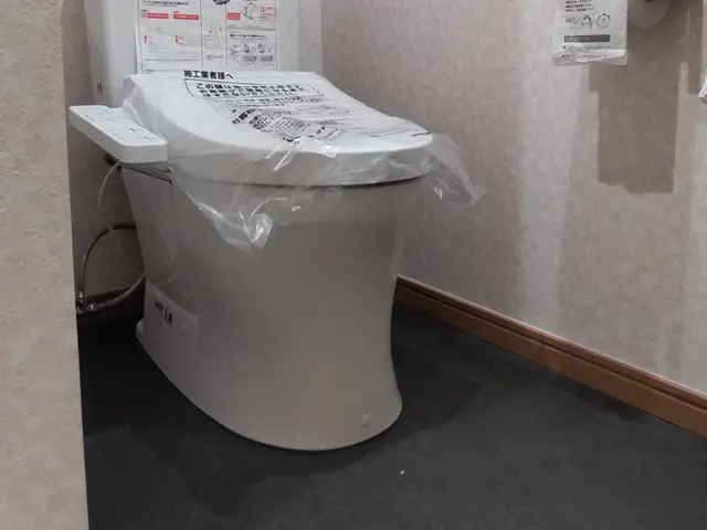 トイレの取替え、オプションで壁紙・床の張替えあり。トイレを丸ごとリフォーム！サービスの画像