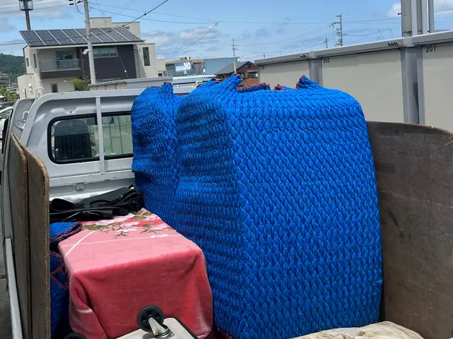 軽トラック積みきり！単身引越しならお任せください！サービスの画像