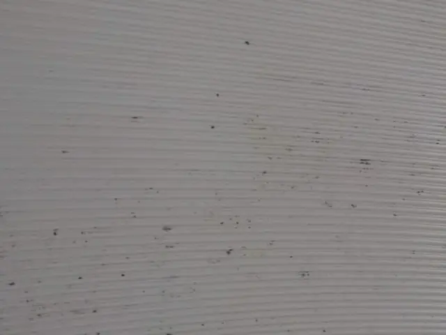 【おそうじ革命】◎クレカOK！仕上がり保証ありで安心！サービスの画像