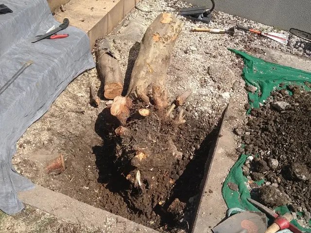 【時間外も相談可能◎】プロの技術で納得の仕上がりに！ご要望にお応えします。サービスの画像