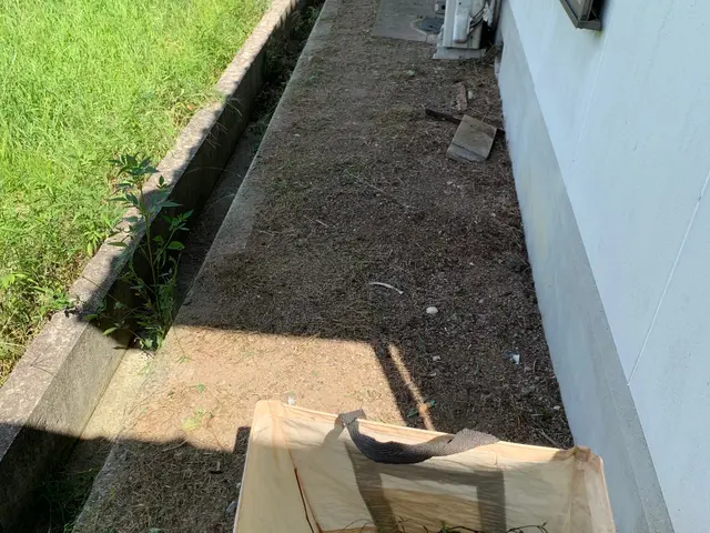 極力早く対応します！対応草の量が少ない場合の処分代はお安くさせて頂きます！サービスの画像