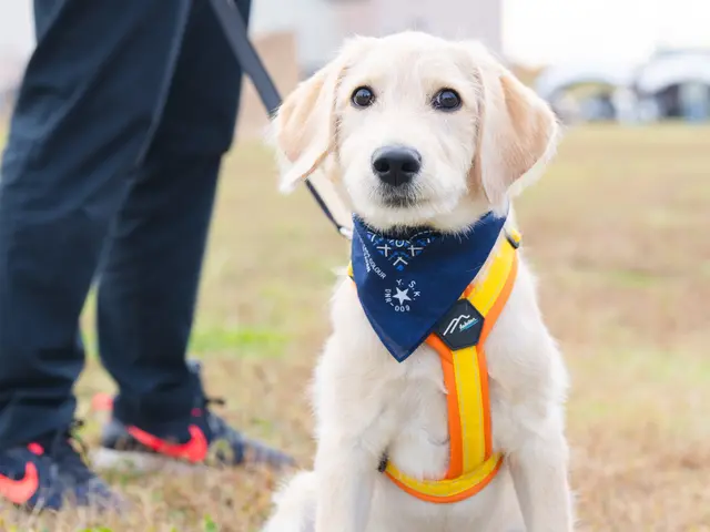 レタッチ付きで魅力UP！◆各種決済対応可能◆最短3日納品可能！