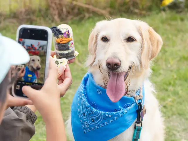 レタッチ付きで魅力UP！◆各種決済対応可能◆最短3日納品可能！