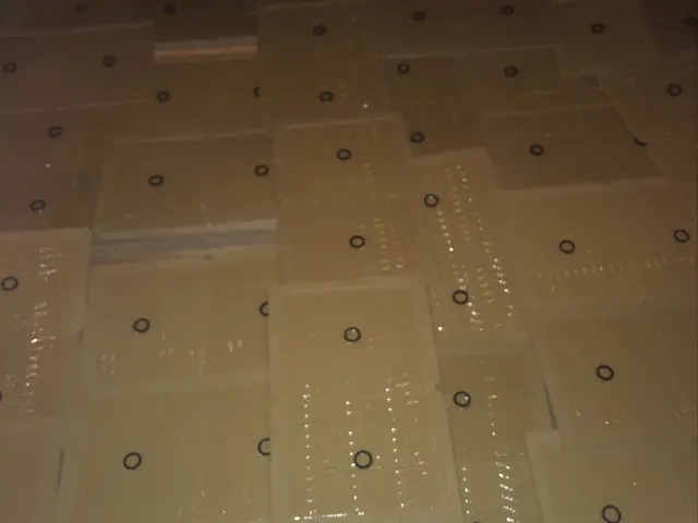 安心安全、国家資格取得！ネズミは調査を大切に。サービスの画像