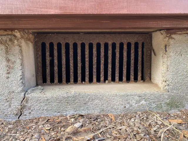 安心安全、国家資格取得！ネズミは調査を大切に。サービスの画像