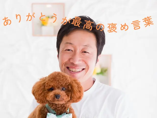 新期出店特別価格！！キッチンの敵＝油汚れ、退治します！サービスの画像