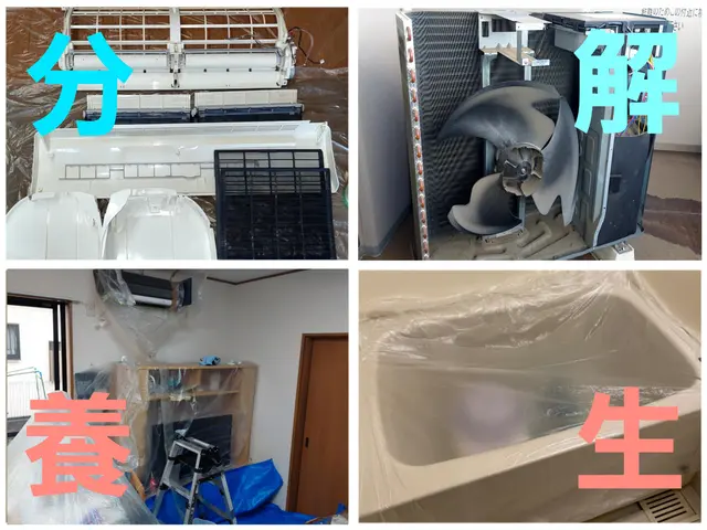 赤ちゃんやペットにも優しい天然植物洗剤を使用★暖かい口コミ有難うございます。サービスの画像