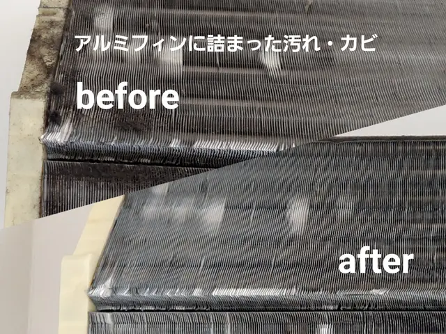 赤ちゃんやペットにも優しい天然植物洗剤を使用★暖かい口コミ有難うございます。サービスの画像