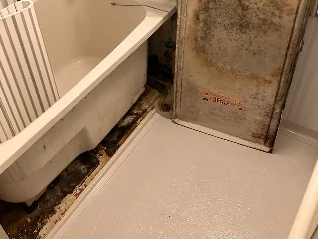 プロの技術でご満足いただけるように心を込めて作業いたしますサービスの画像