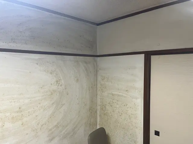 在室ハウスクリーニング　拭き上げ等サービスの画像