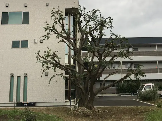 【職人歴15年の経験と実績】営業時間外も対応OKです！当店にお任せくださいサービスの画像