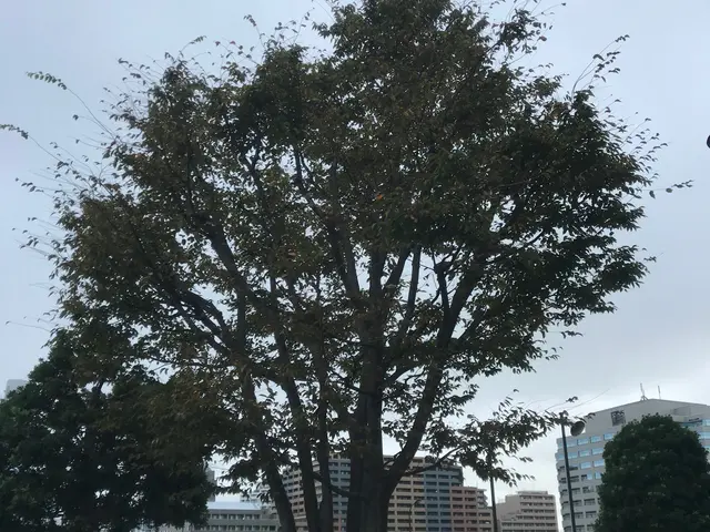 【職人歴15年の経験と実績】営業時間外も対応OKです！当店にお任せくださいサービスの画像