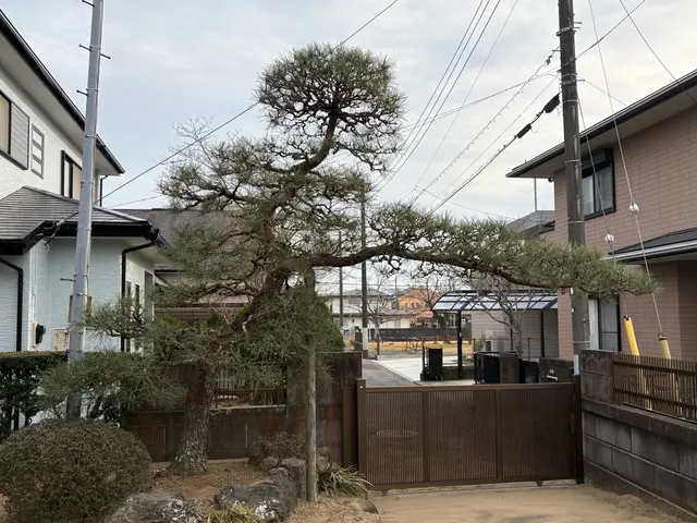 一歩出て、光と風が、通る庭。松の手入れも自信あり、お任せください。カードOK。サービスの画像