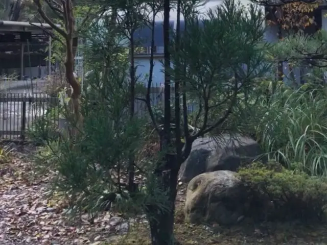 一歩出て、光と風が、通る庭。松の手入れも自信あり、お任せください。カードOK。サービスの画像