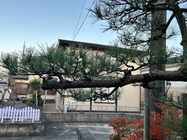 一歩出て、光と風が、通る庭。松の手入れも自信あり、お任せください。カードOK。サービスの画像