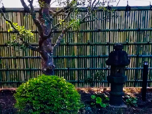 一歩出て、光と風が、通る庭。松の手入れも自信あり、お任せください。カードOK。サービスの画像