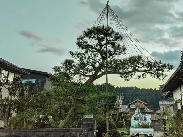 一歩出て、光と風が、通る庭。松の手入れも自信あり、お任せください。カードOK。サービスの画像