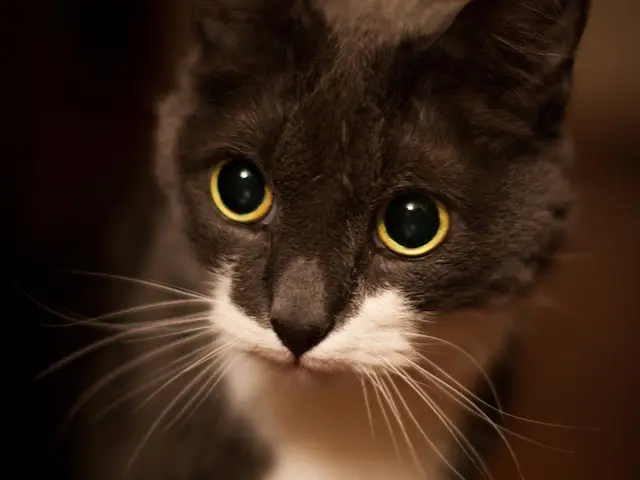 光の演出で被写体の魅力が伝わる自然体で印象深い写真を撮影いたします