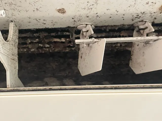 たっぷりの高レベル除菌水による濯ぎで仕上り感Good！完全分解対応可能店！サービスの画像