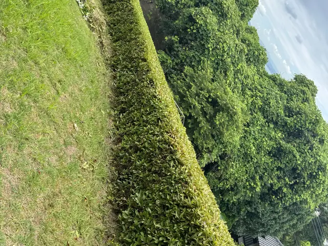 【大分市発！地域密着店】農作業経験者の店長がお伺い◉美しい仕上げにこだわります◉サービスの画像