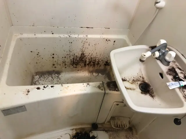 【コロナ対策】徹底して行います。サービスの画像