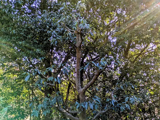 ◆予約から施工まで100%自社対応◆駐車代お店負担◆迅速丁寧に対応しますサービスの画像