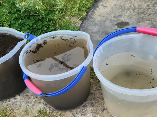 １０年間の実績３万台以上♪大好きエアコンクリーニング♪サービスの画像