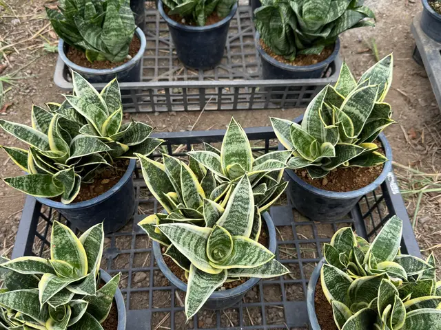 お客様のお力になります！経験と知識を活かして迅速丁寧に作業いたしますサービスの画像