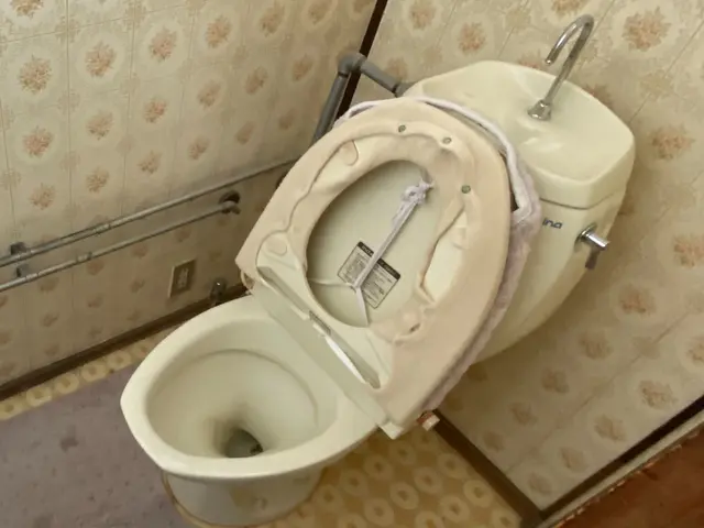 トイレクリーニングサービスの画像