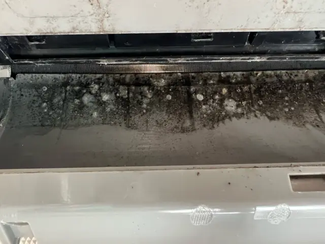 現金のみ◎駐車場代お客様負担◎徹底的に嫌な匂いを落とし丁寧に仕上げます！サービスの画像