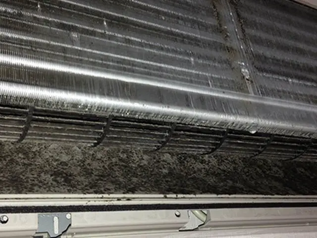 現金のみ◎駐車場代お客様負担◎徹底的に嫌な匂いを落とし丁寧に仕上げます！サービスの画像