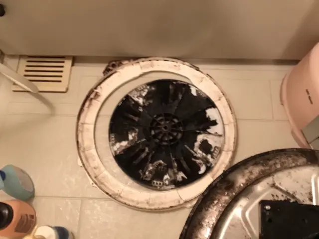 追加料金一切なし！体に優しいエコ洗剤使用◎洗濯機クリーニングはお任せください！！サービスの画像