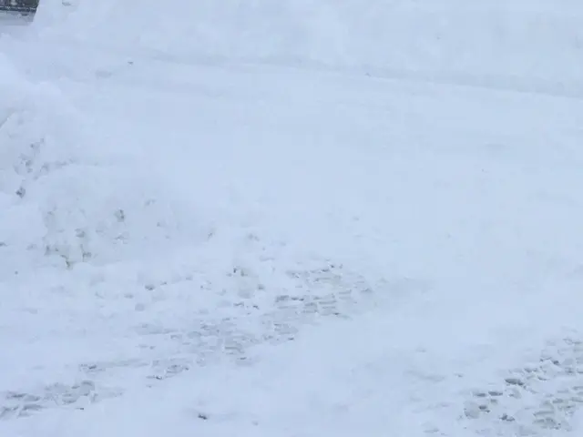 敏速対応！深夜早朝もOK女性スタッフ在籍◆すべて自社対応岩手県秋田県全域対応可能サービスの画像