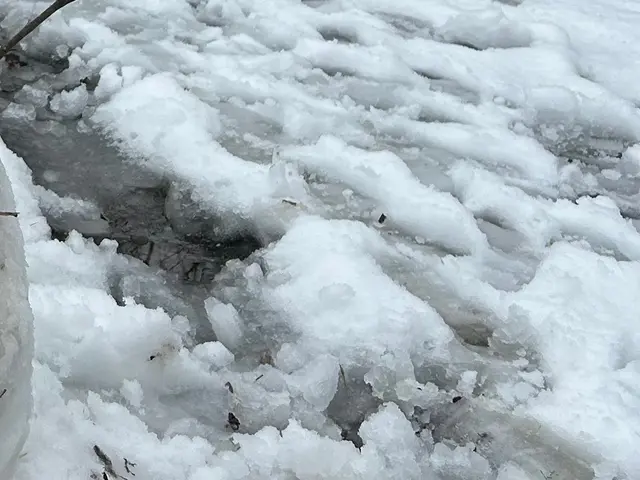 雪かき、雪おろしサービスの画像