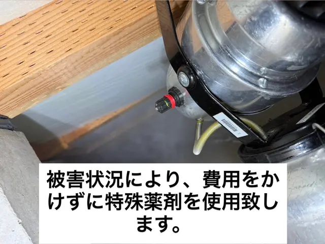 必ず完全駆除！千葉、埼玉、神奈川も対応！侵入口徹底閉鎖。薬剤散布もサービスですサービスの画像