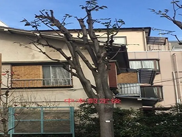 《営業時間外もご相談OK》ご要望に寄り添い、理想のお庭づくりをお手伝いいたしますサービスの画像