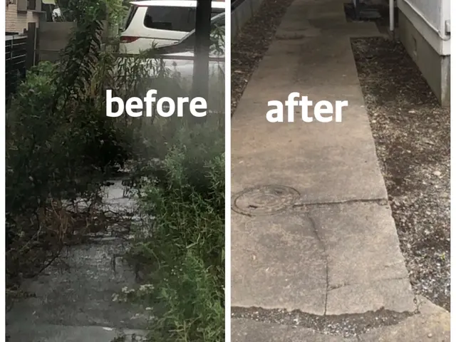 【速い作業・適正な価格・綺麗な仕上り】◎庭を覆い尽くす雑草を綺麗に取り除きます◎サービスの画像